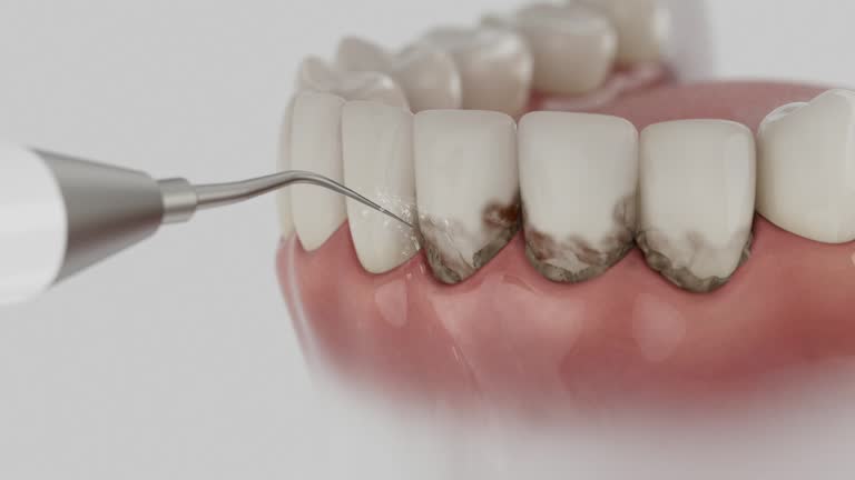 Reliable Dental contractor in Saltillo, MS by Dentist Open Now